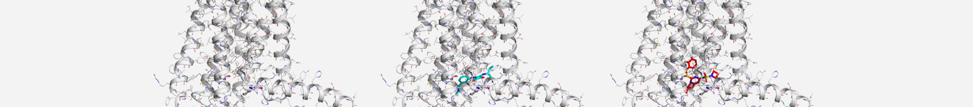 Computational Structural Biology