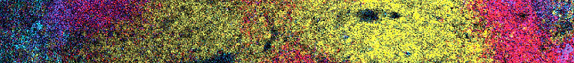 Signal Transduction