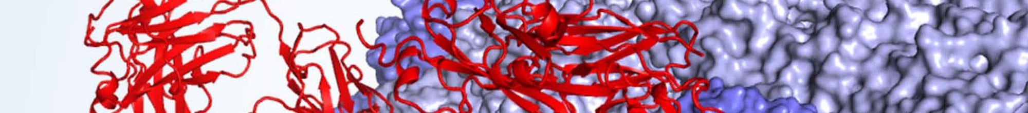 Structural Biology