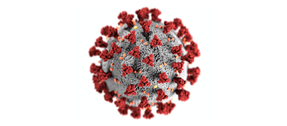 COVID-19- IRB receives EU emergency research funding