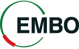 Embo logo